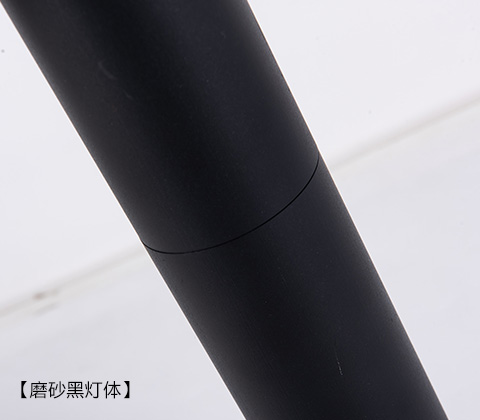 (QDTYN-CP009)花園小區LED太陽(yáng)能草坪燈啞光黑燈體細節